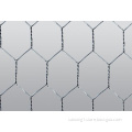 Galvanized Hexagonal Wire Mesh